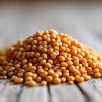 Gros plan sur des grains d'épeautre anciens, avec une texture robuste et des nuances de brun clair. Composition naturelle et rustique.